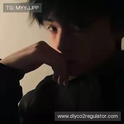 洪雷雁