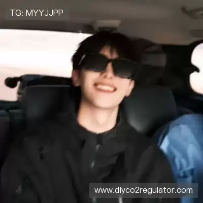 邬起崴