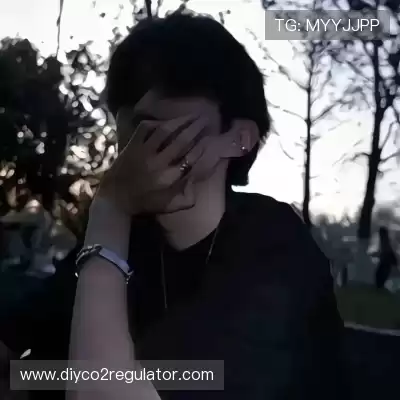 朱泓洁